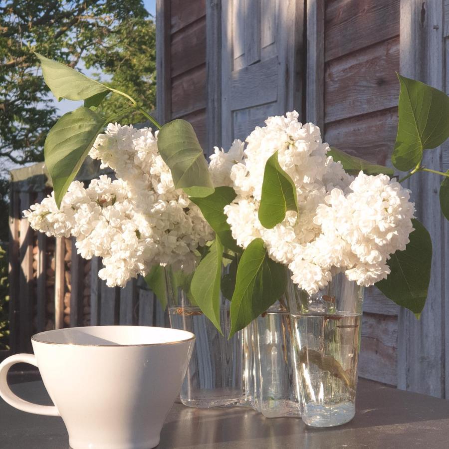 Ronehamn Bed And Breakfast Hemse 外观 照片