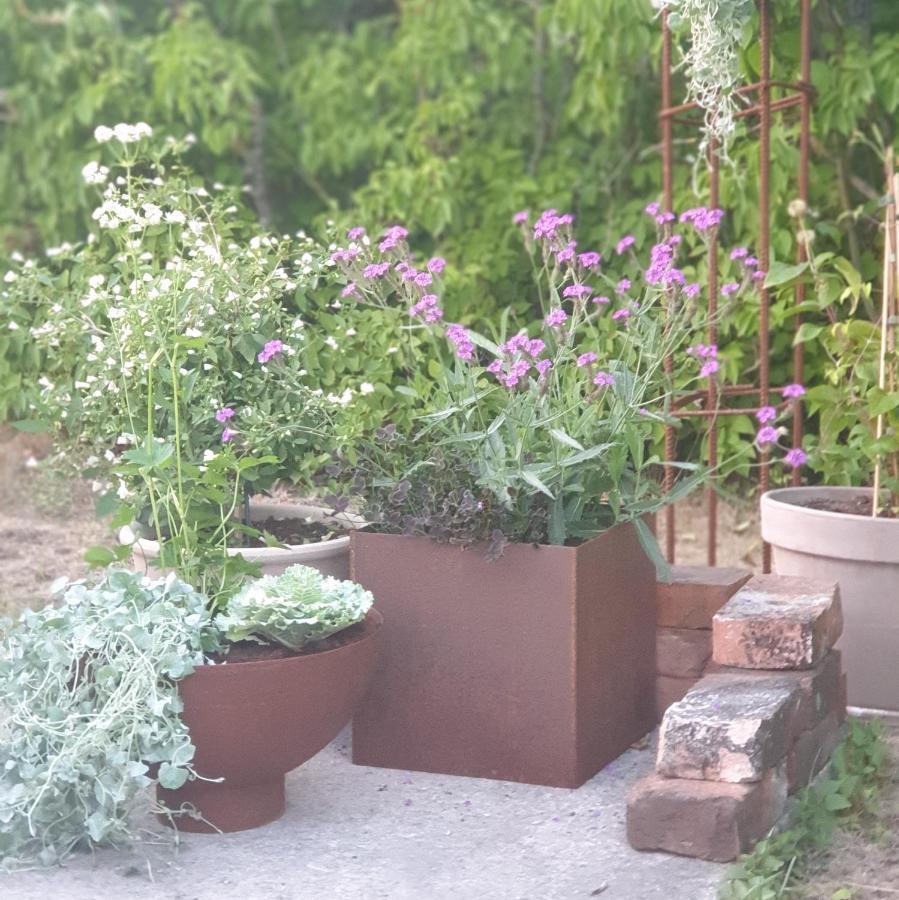 Ronehamn Bed And Breakfast Hemse 外观 照片