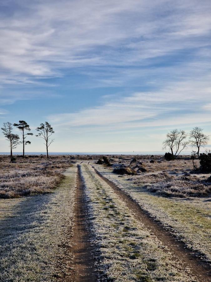 Ronehamn Bed And Breakfast Hemse 外观 照片