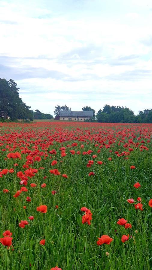 Ronehamn Bed And Breakfast Hemse 外观 照片