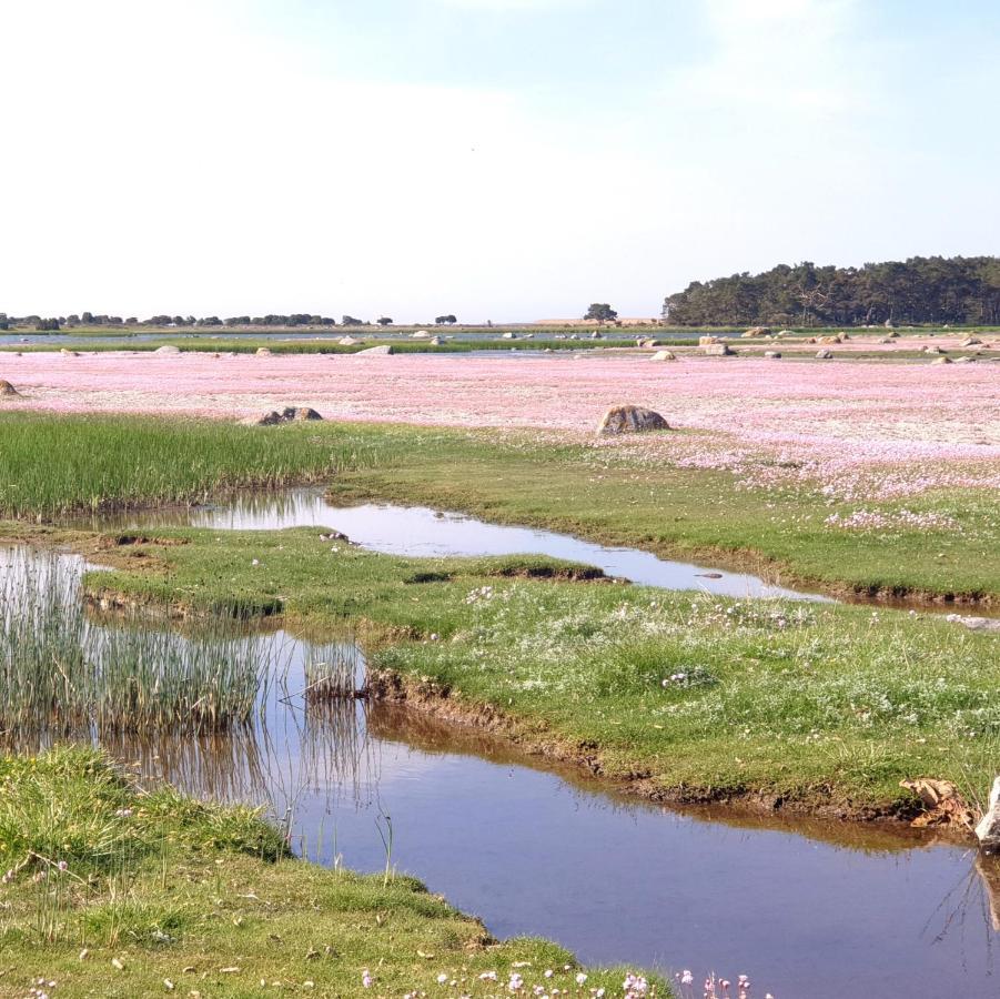Ronehamn Bed And Breakfast Hemse 外观 照片