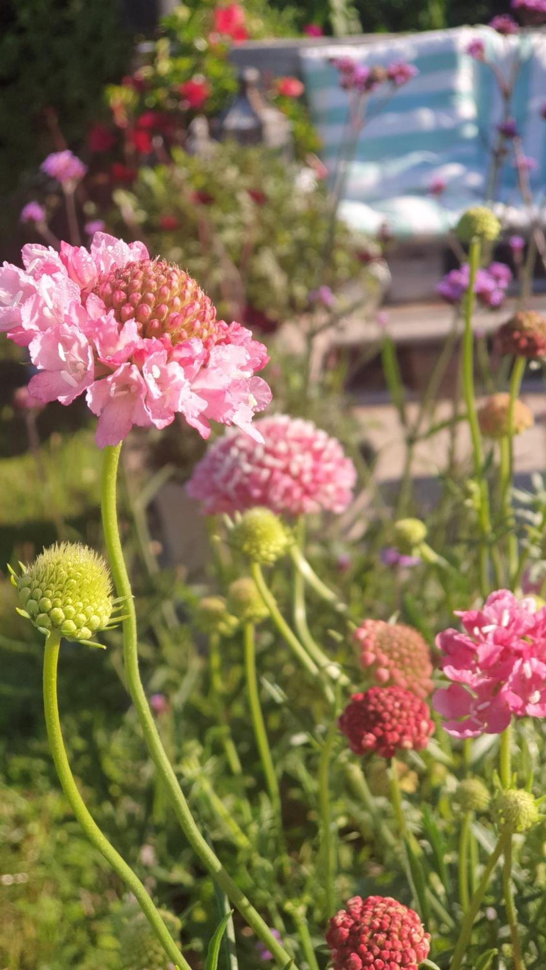 Ronehamn Bed And Breakfast Hemse 外观 照片